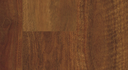 Hurford 14 Spotted Gum (QLD) Flooring T&G SN EM KD Select Grade 180x14 