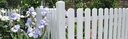 H3 Primed Pine Fence Pickets 70 x 19 x 1500mm Round top (pack of 12)