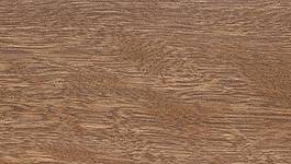 Tallowwood Flooring T&G KD End Matched Feature Grade 130x19