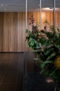 Shiplap Spotted Gum QLD Dressed 120x12 (6mm Gap) Lineal Metre