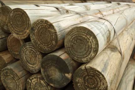 150mm H4 CCA Precision Log 6.0  (buy 19 or less)