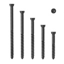 Anchormark S2 316  Decking Screws For Timber Black 50mm 5.5  (12G/10GH) Box 1000 (663641)