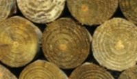 250mm H5 CCA Precision Log 1.8 (buy 11 or more)